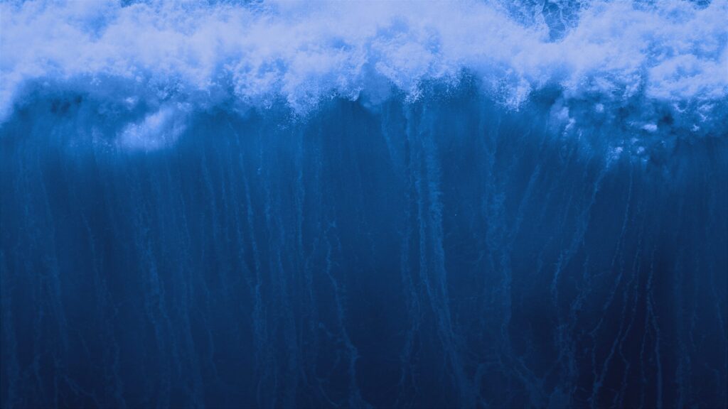 clearcurrent helps reveal your advantage to create sales momentum.